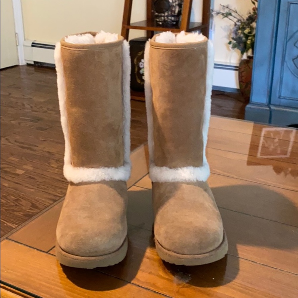 Ugg Waterproof Tall Boots